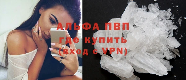 крисы Вязники