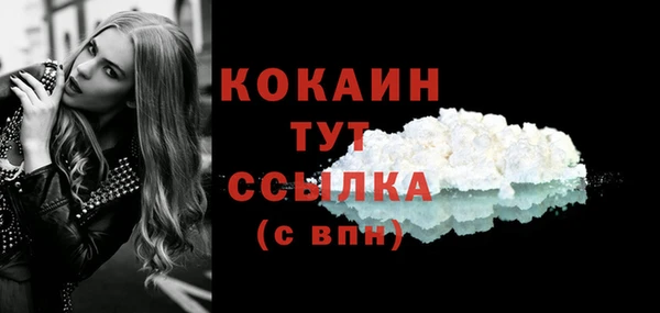 крисы Вязники