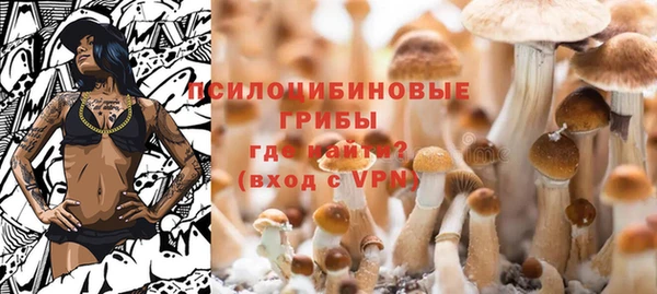 крисы Вязники
