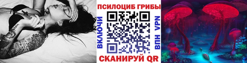 гидра tor купить наркоту Гусиноозёрск Псилоцибиновые грибы Psilocybe